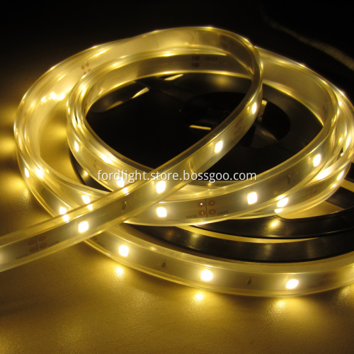 SMD5630 LED Strip Light DC12V White Warm White Color
